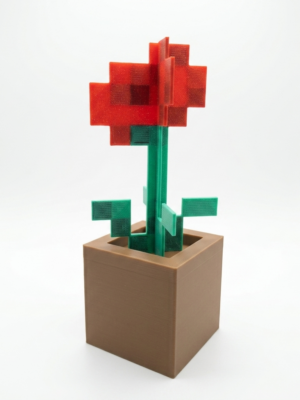 amapola