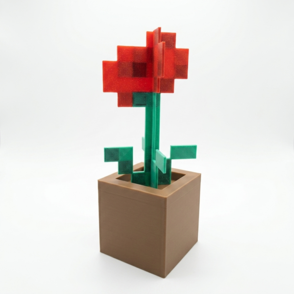 amapola